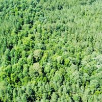 33.9 Acres with a Barndominium in Attala County MS images 5