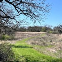 100 - Acres with Home and Guest Cabin images 5
