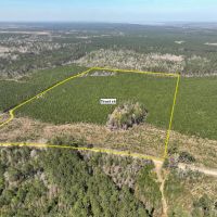 40 acres T-16 Spurger Pines North images 2