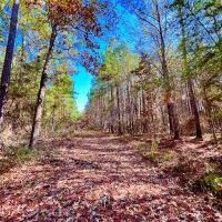 12.5 Acres US Highway 287 5A images 5