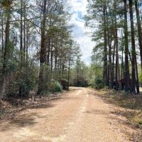 89 Acres T-8 FM 1746 images 4