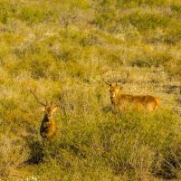 Rancho Rasante Real images 2