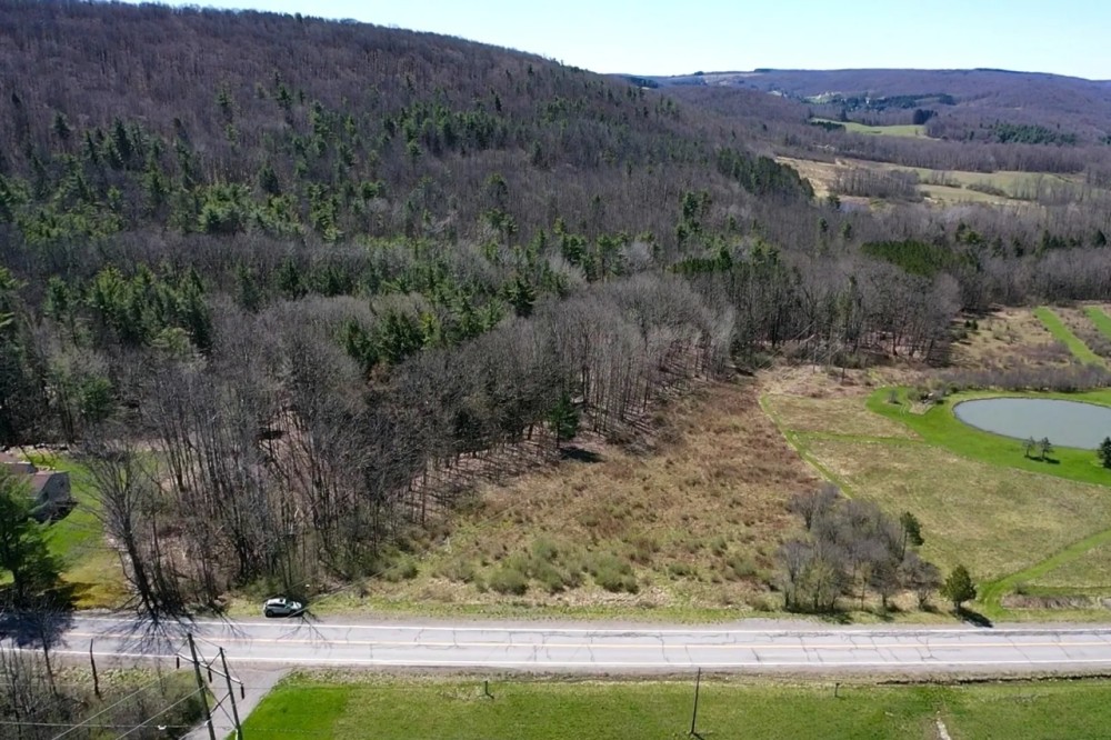 10 acres Hunting Land and Recreational Land in Alfred NY Hartsville Hill Road featured image