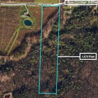 10 acres Hunting Land and Recreational Land in Alfred NY Hartsville Hill Road images 2