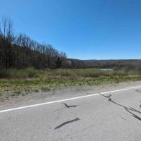 10 acres Hunting Land and Recreational Land in Alfred NY Hartsville Hill Road images 4
