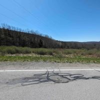 10 acres Hunting Land and Recreational Land in Alfred NY Hartsville Hill Road images 5