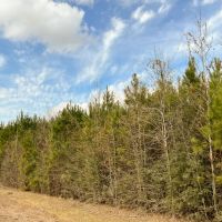 36 Acres T-11 FM 1746 images 3