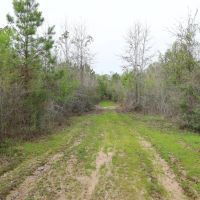 LA - Caldwell 47 acres - images 5