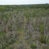 LA - Caldwell 47 acres - images 2