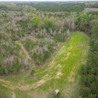 LA - Caldwell 47 acres - images 3