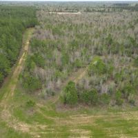 LA - Caldwell 47 acres - images 4