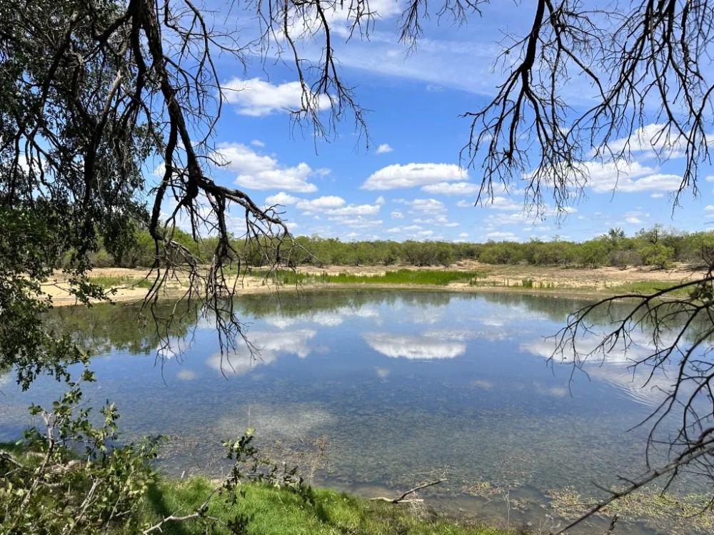 291 - Acres….Elevation Oaks Heavy cover Indian Creek featured image