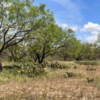 291 - Acres….Elevation Oaks Heavy cover Indian Creek images 2