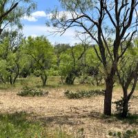 291 - Acres….Elevation Oaks Heavy cover Indian Creek images 3