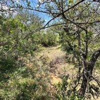 291 - Acres….Elevation Oaks Heavy cover Indian Creek images 4
