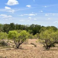 291 - Acres….Elevation Oaks Heavy cover Indian Creek images 5
