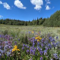 Cabin Hollow Ranch images 3