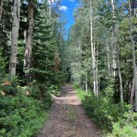 Cabin Hollow Ranch images 4