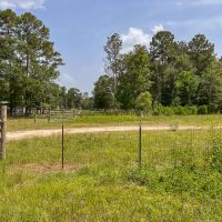 80 acres Tommy Smith Road images 5