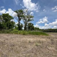 LA - Franklin 200 acres - images 5