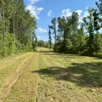 107 acres Fred Bacot Road images 2
