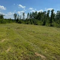 107 acres Fred Bacot Road images 5