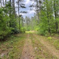 Inverness Saco Tract