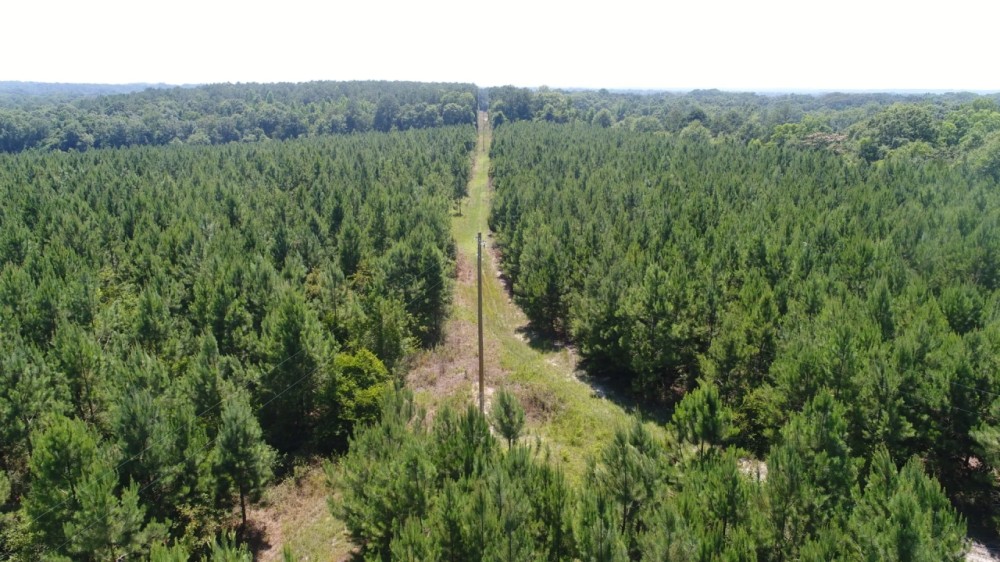 109 - ac Crenshaw Co featured image