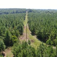 109 - ac Crenshaw Co