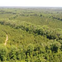 109 - ac Crenshaw Co images 5