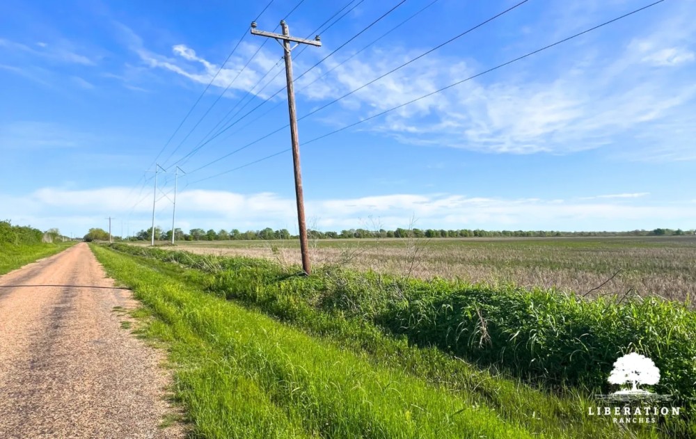 Garwood Tract 4 13 Acres Only 15K Down featured image