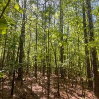 145 -ac on CR 56 images 3