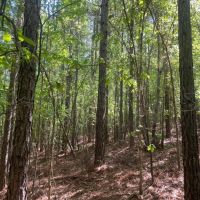 145 -ac on CR 56 images 4