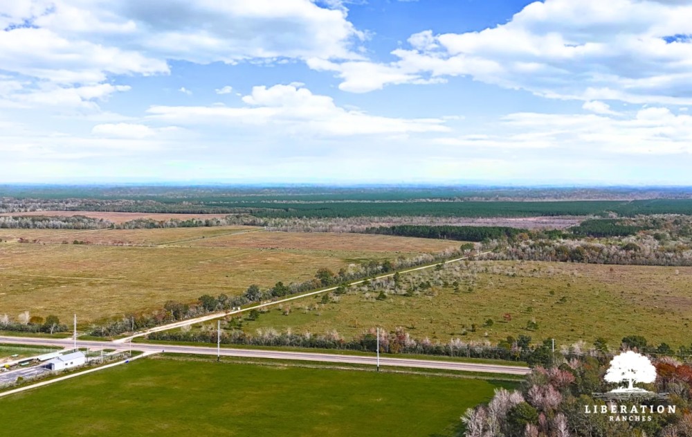 Sour Lake Tract 2 10 Acres Only 15K Down featured image