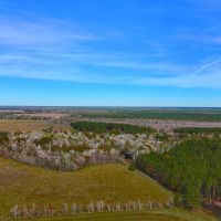Sour Lake Tract 2 10 Acres Only 15K Down images 5