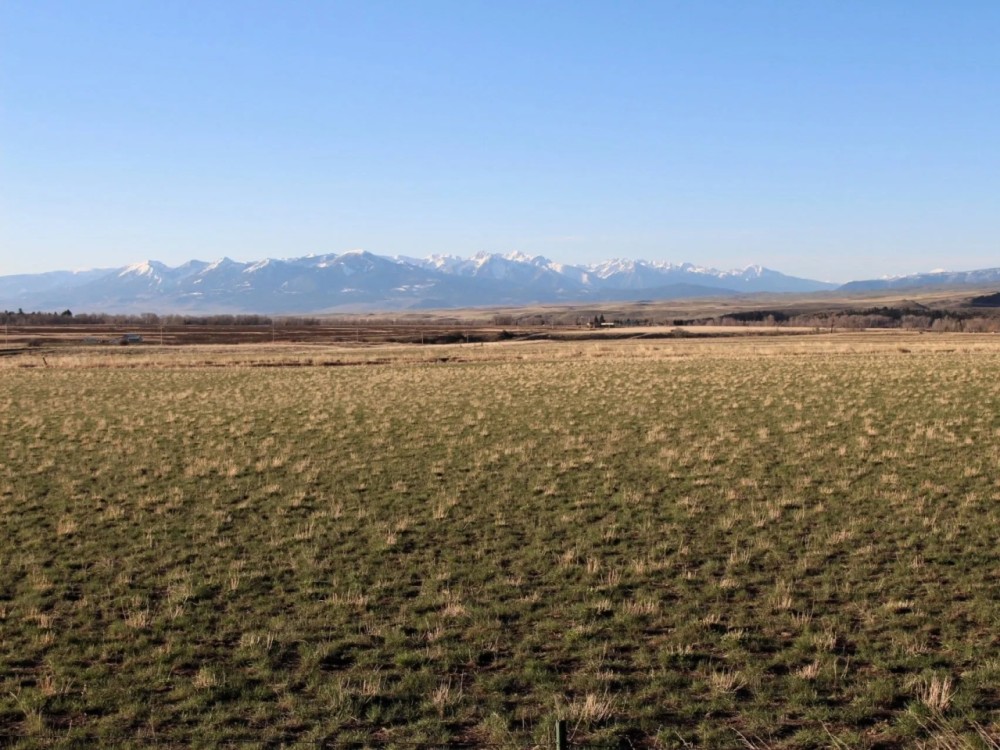 Shields Valley Irrigated Farm featured image