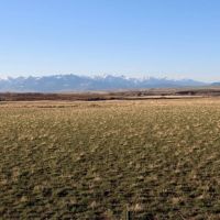 Shields Valley Irrigated Farm