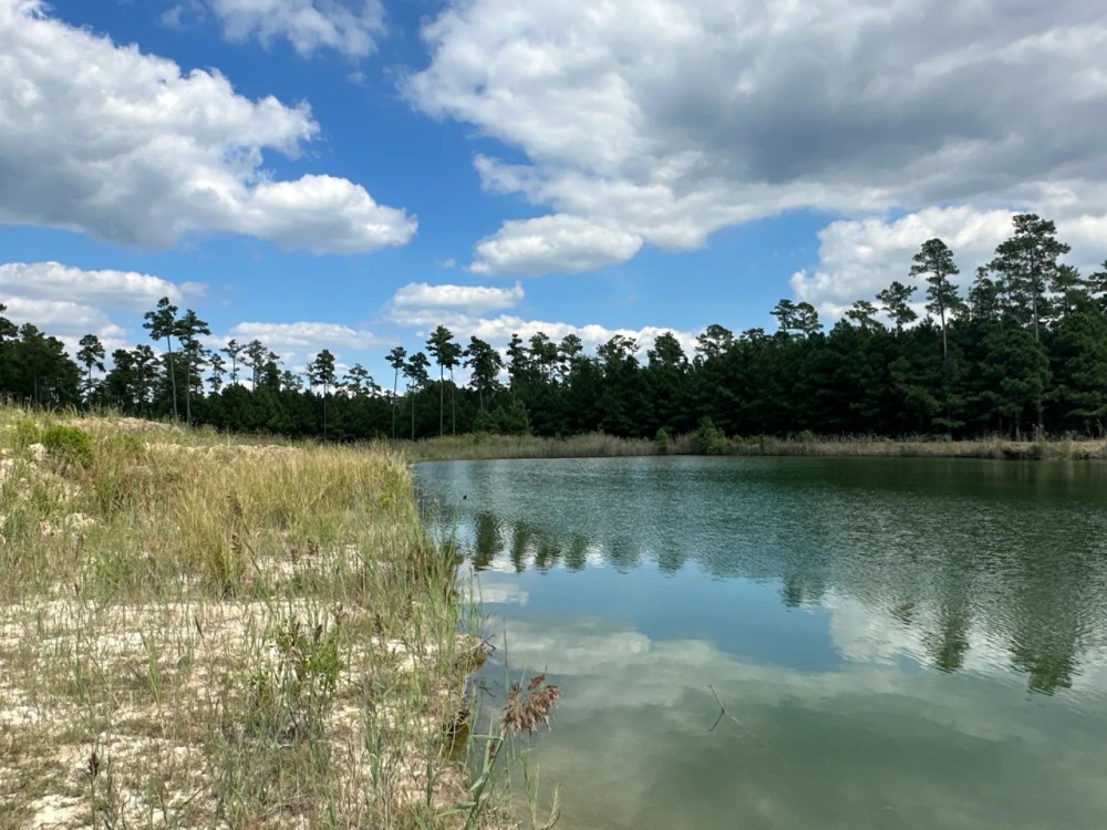 240-Acre Pungo Riverfront Hunting Home Sites Sanctuary featured image