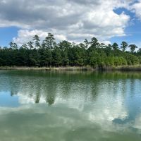 240-Acre Pungo Riverfront Hunting Home Sites Sanctuary images 2