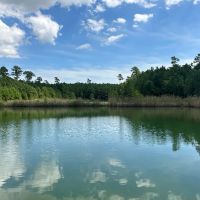 240-Acre Pungo Riverfront Hunting Home Sites Sanctuary images 3