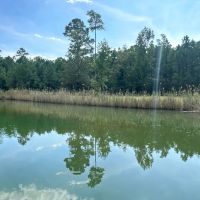 240-Acre Pungo Riverfront Hunting Home Sites Sanctuary images 4