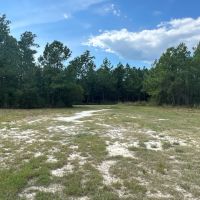 240-Acre Pungo Riverfront Hunting Home Sites Sanctuary images 5