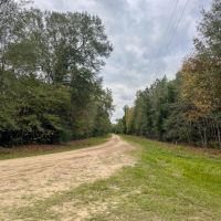 13 Acres 425 Piney Creek Subdivision images 2
