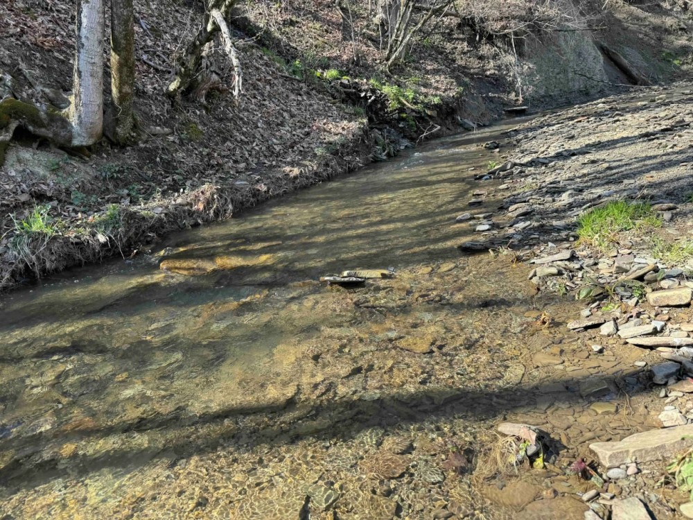 90 acres Recreational Land and Hunting Land with Creek in Ischua NY Hardscramble Road featured image