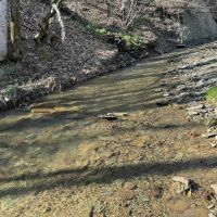 90 acres Recreational Land and Hunting Land with Creek in Ischua NY Hardscramble Road