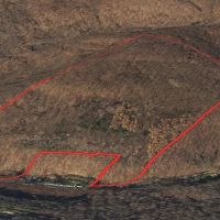 90 acres Recreational Land and Hunting Land with Creek in Ischua NY Hardscramble Road images 3