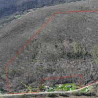 90 acres Recreational Land and Hunting Land with Creek in Ischua NY Hardscramble Road images 4