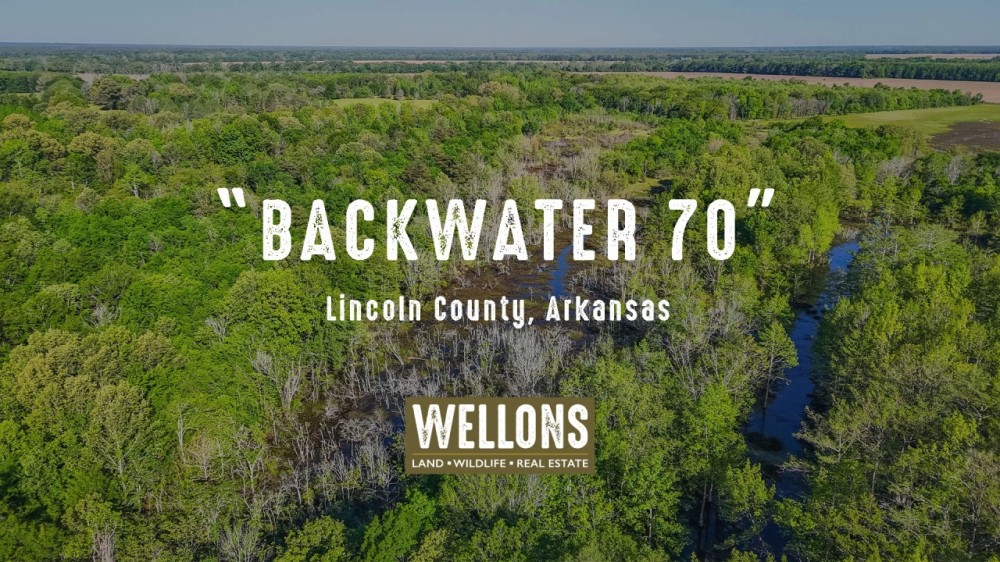 Backwater 70 featured image