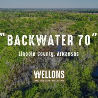 Backwater 70