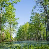 Backwater 70 images 3